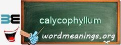 WordMeaning blackboard for calycophyllum